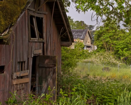 Abandoned Village  