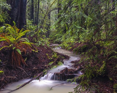 Armstrong CreekSmall