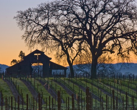 Barn Sunrise at vineyard