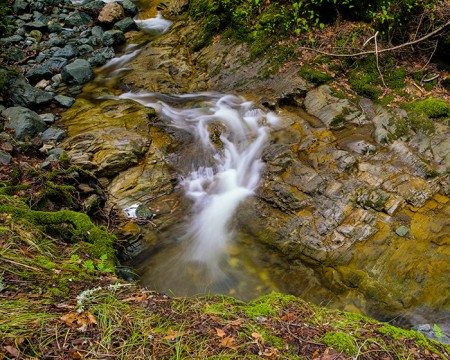 Creek at Sugarloaf Ridge