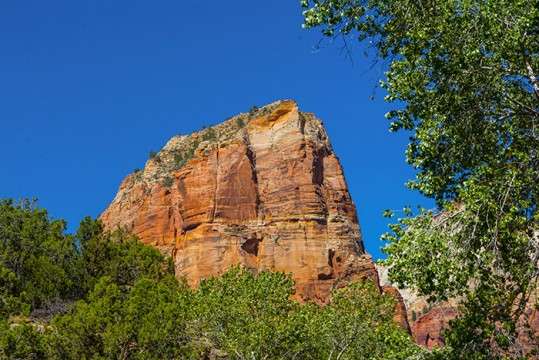 Zion Canyon 4