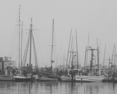 Fishing Boats at Rest