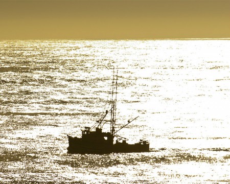 Fishing boat on a sea of silver