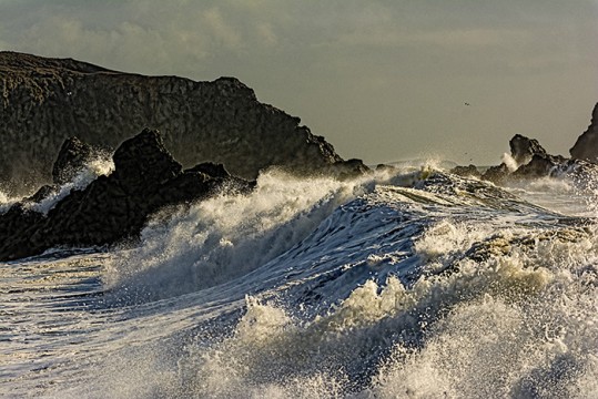 Goat Rock Wave