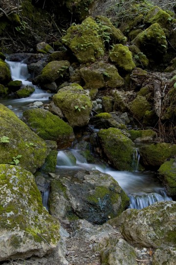 Larger View of Stream/Falls