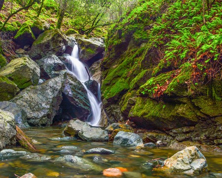 Sugar Loaf Falls