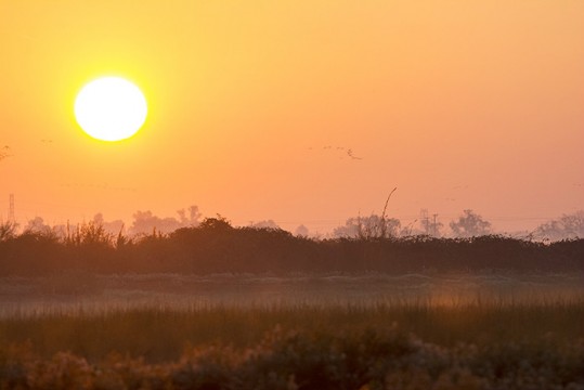 Sunrise at Woodbridge Preserve