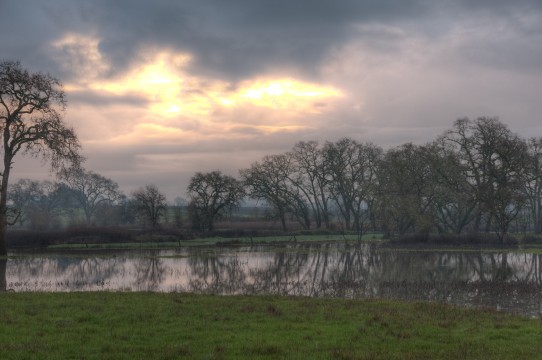 Dawn at Laguna de Santa Rosa 