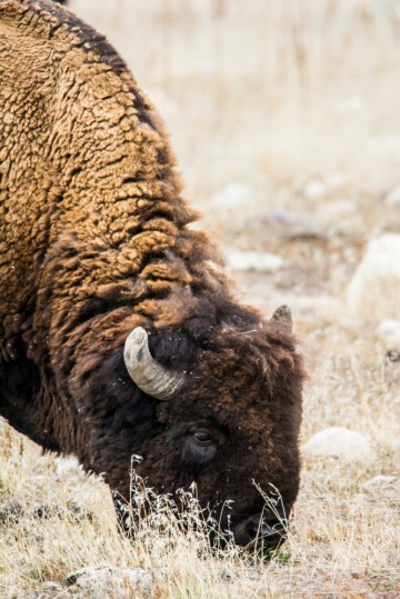 ANTELOPE ISLAND, UTAH