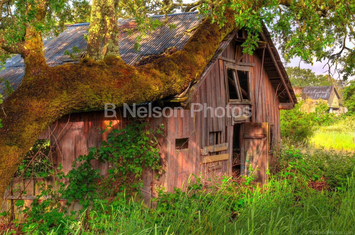 Abandoned Village  2