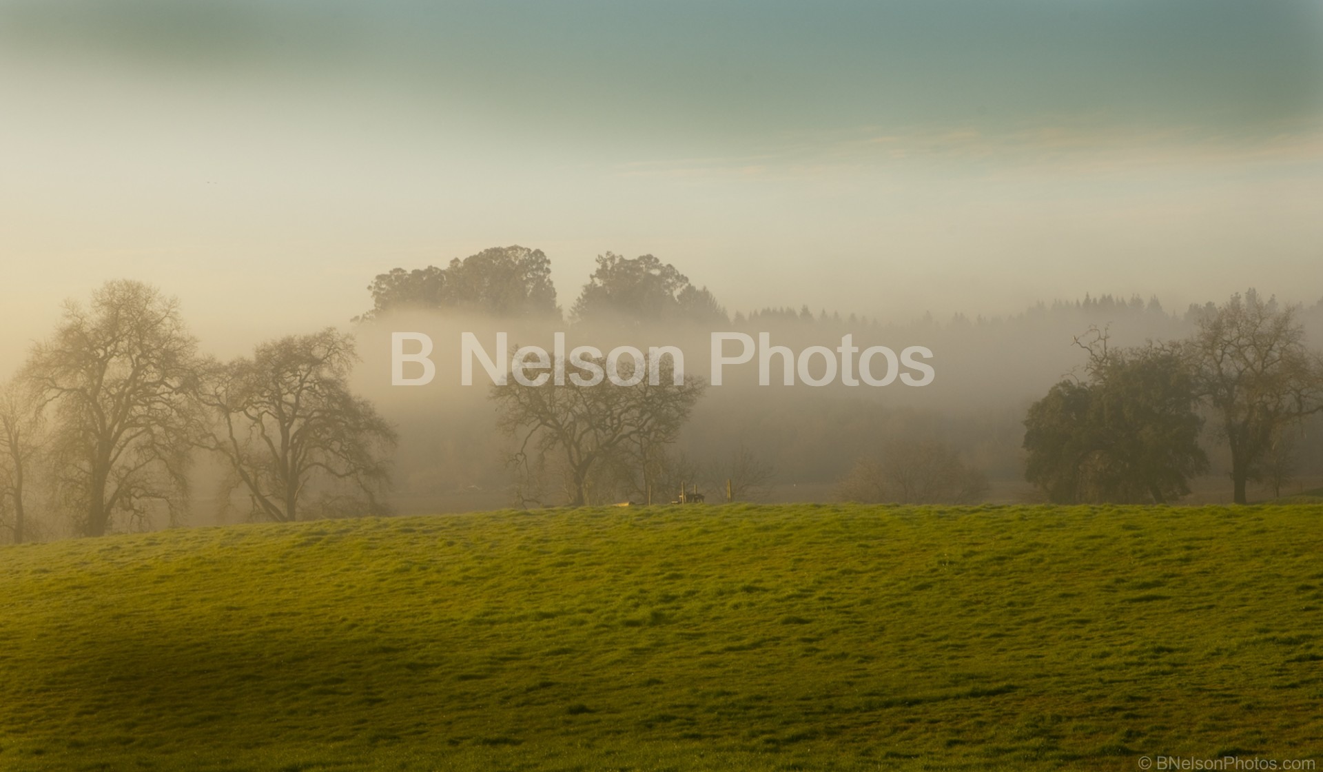 Pastoral Sunrise  