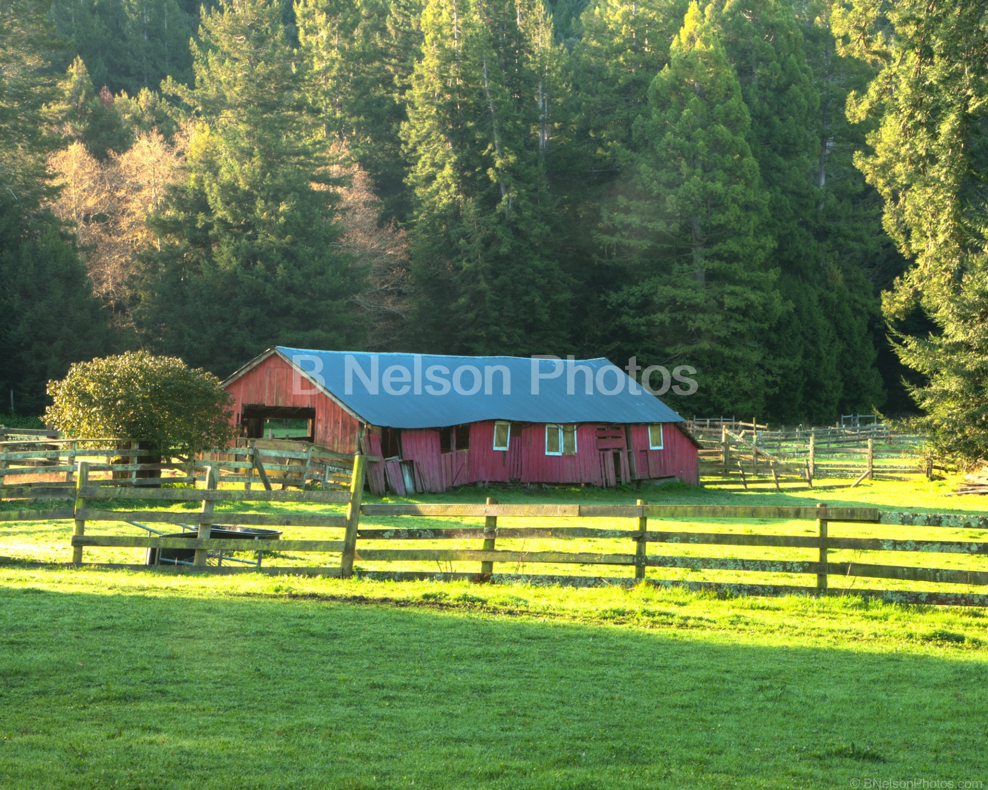 Spring Morning on the Farm