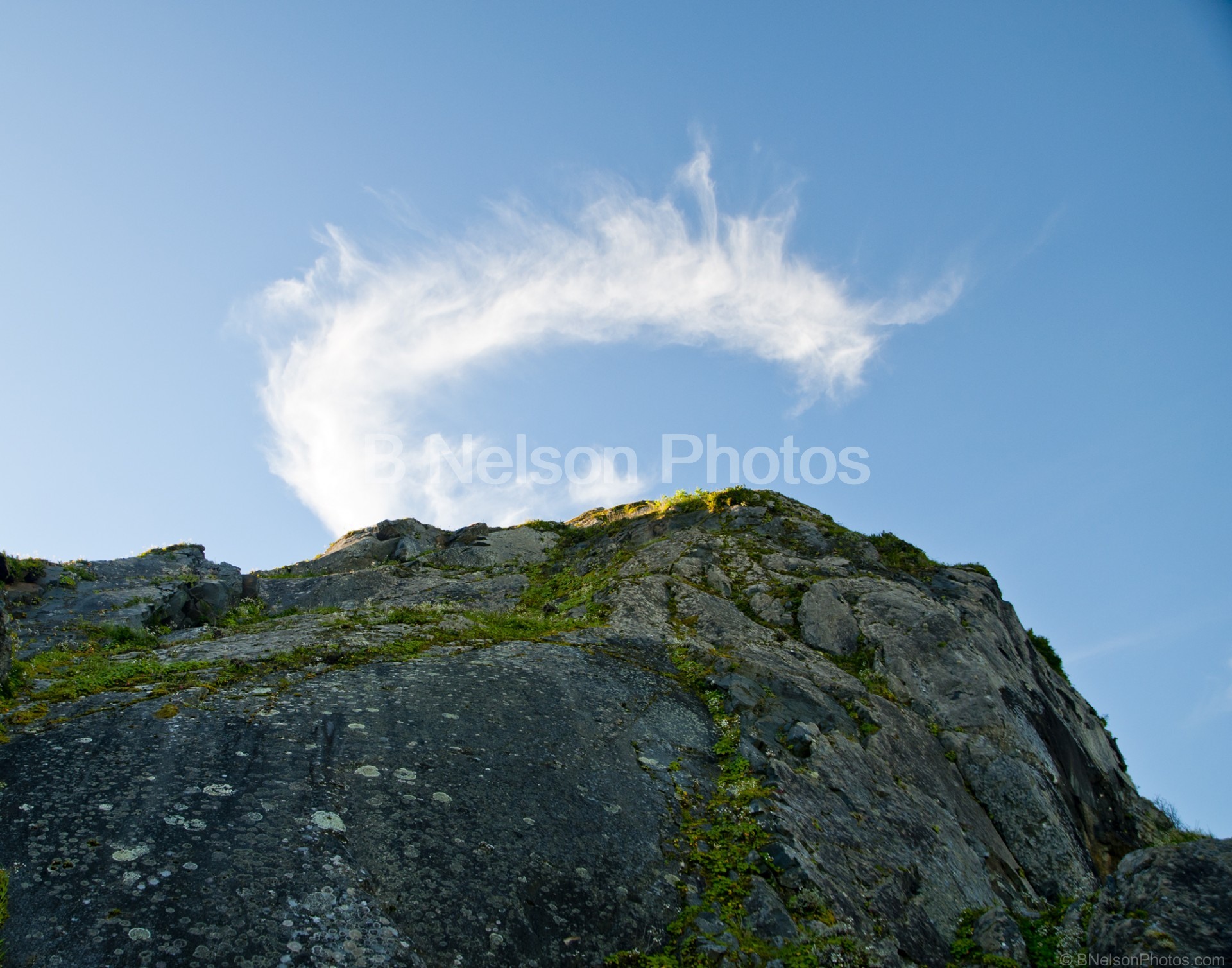 Cloud Dragon