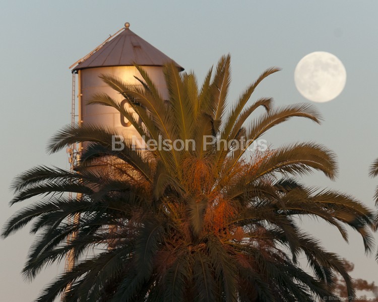 Blue Moon over Galt , CA Water Tower