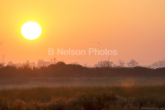 Sunrise at Woodbridge Preserve