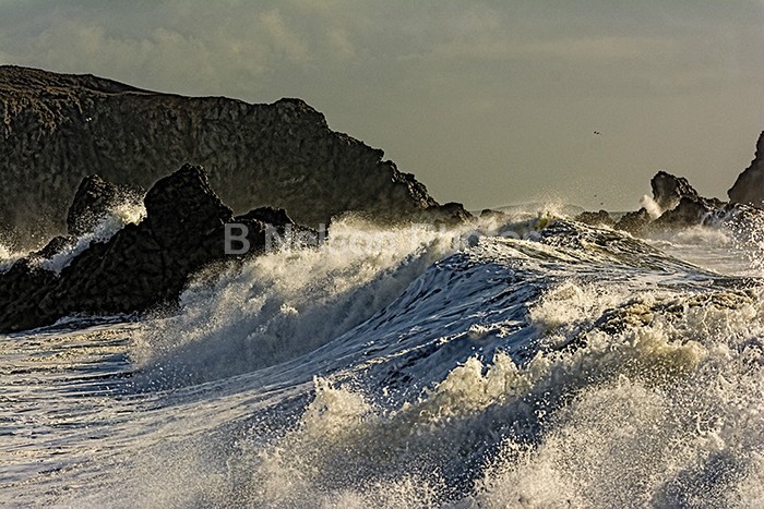 Goat Rock Wave