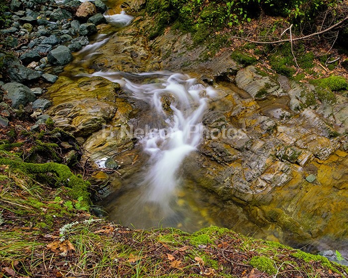 Creek at Sugarloaf Ridge