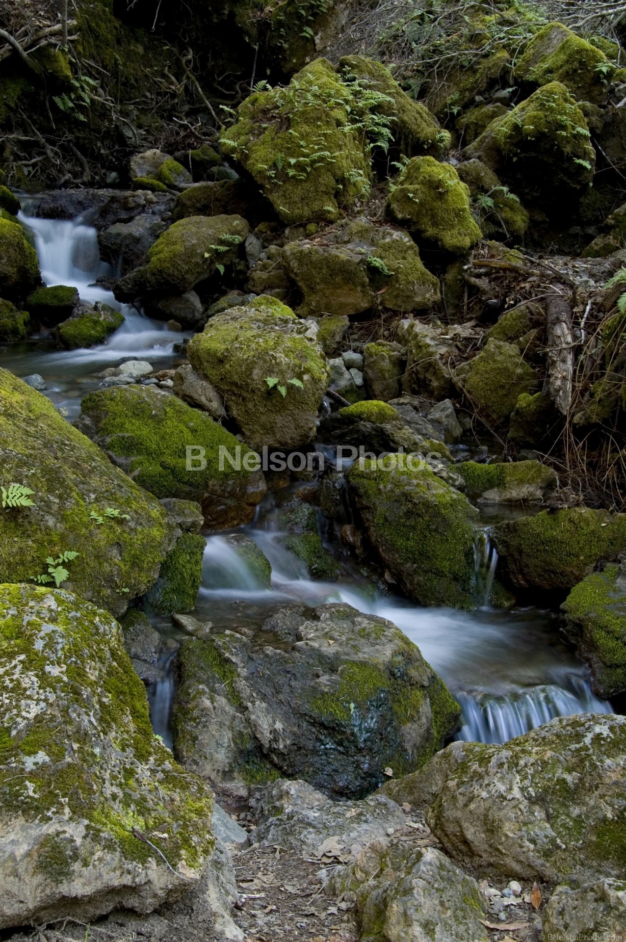 Larger View of Stream/Falls