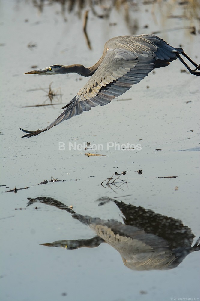 GBH in flight